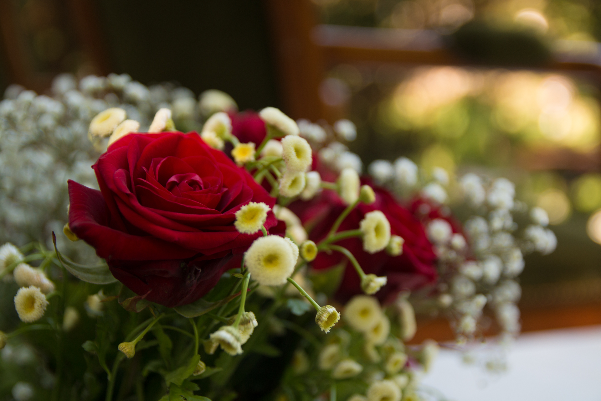 L' Oeil Noir Photographie